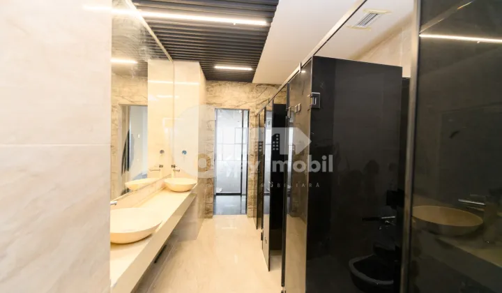 Офис, Центр, МИХАЙ ВИТЯЗУЛ