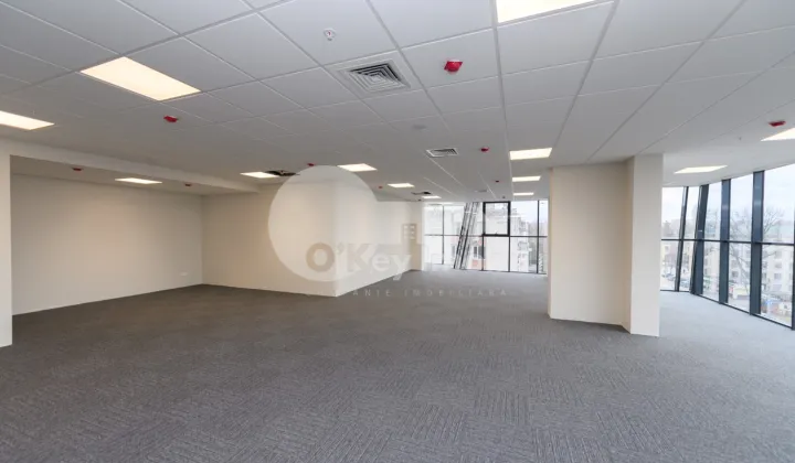 Офис, Центр, МИХАЙ ВИТЯЗУЛ