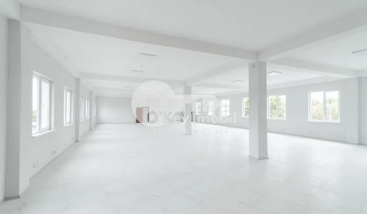 Комм. помещение, Буюканы, БАРИЕРА СКУЛЕНЬ