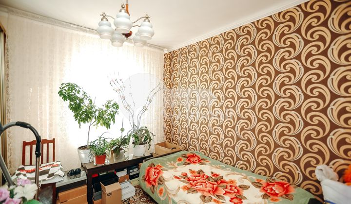 Дом, МИЛЕШТИЙ МИЧЬ