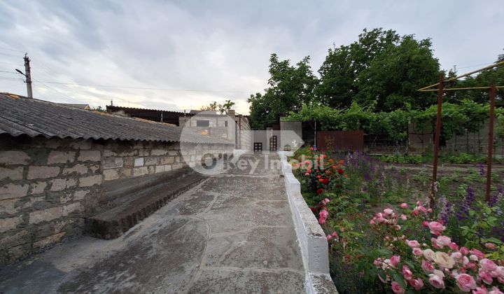 Дом, МИЛЕШТИЙ МИЧЬ