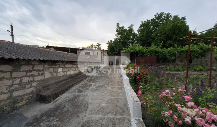 Дом, МИЛЕШТИЙ МИЧЬ