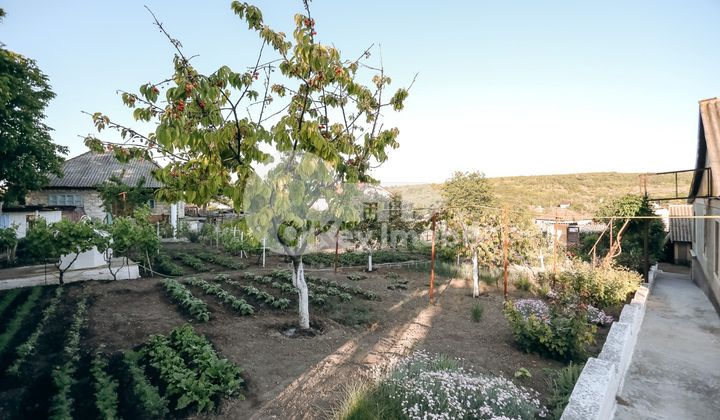 Дом, МИЛЕШТИЙ МИЧЬ