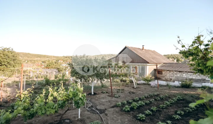 Дом, МИЛЕШТИЙ МИЧЬ