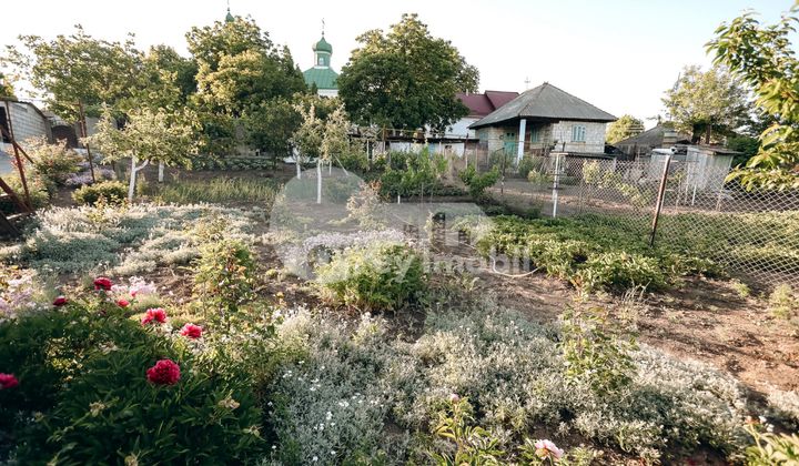 Дом, МИЛЕШТИЙ МИЧЬ