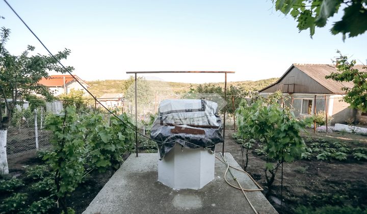 Дом, МИЛЕШТИЙ МИЧЬ