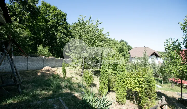 Дом, БОТАНИКА