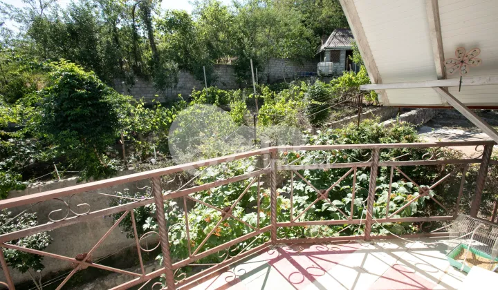 Дом, БОТАНИКА