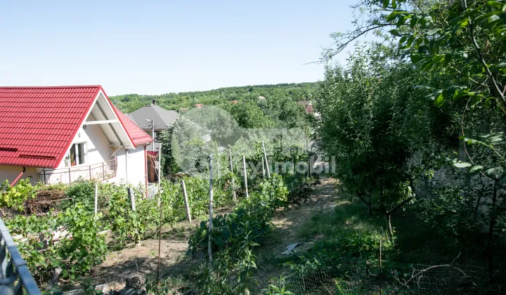 Дом, БОТАНИКА