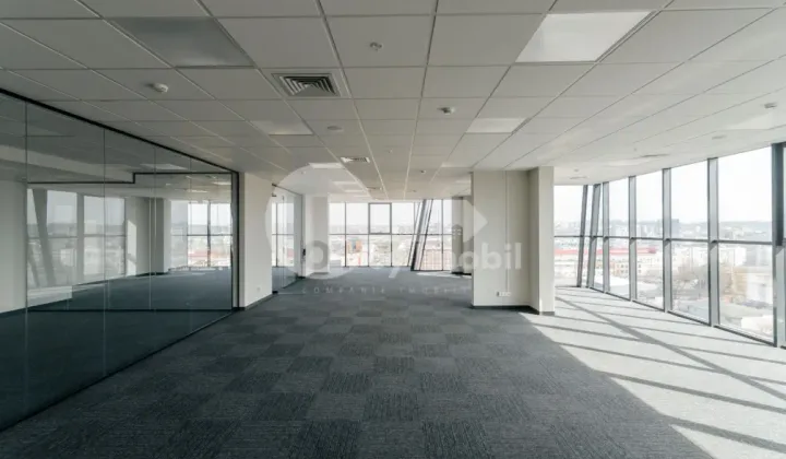 Oficiu, Centru, MIHAI VITEAZUL