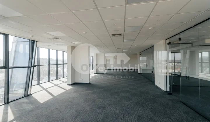 Oficiu, Centru, MIHAI VITEAZUL