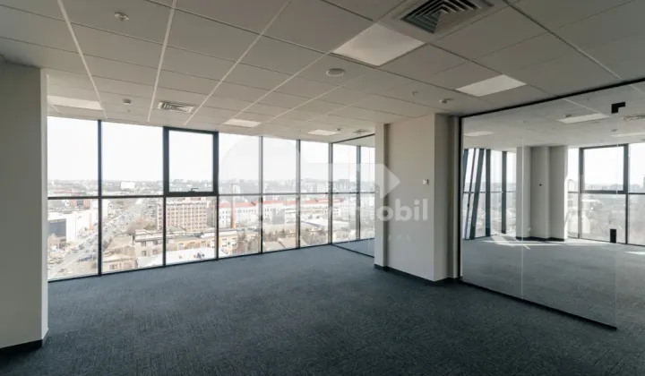 Oficiu, Centru, MIHAI VITEAZUL