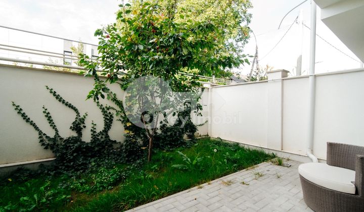 Casă, Centru, GEORGE MENIUC