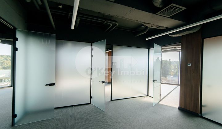 Офис, Центр, ШТЕФАН ЧЕЛ МАРЕ