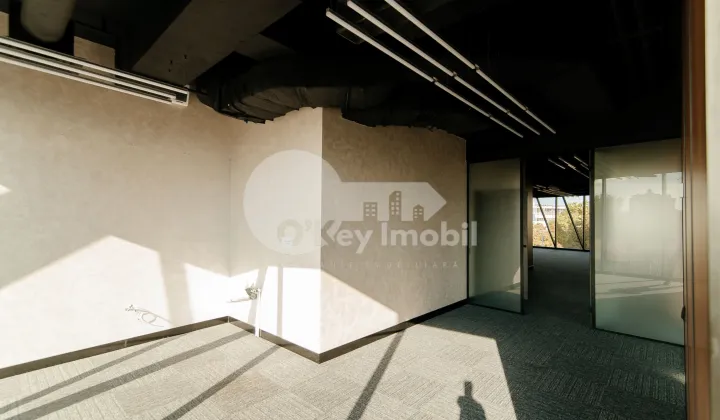 Oficiu, Centru, ȘTEFAN CEL MARE