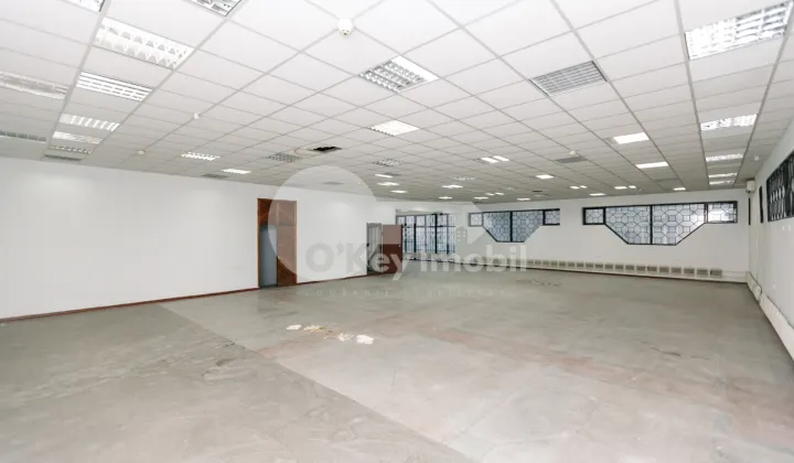 Комм. помещение, Ботаника, НИКОЛАЕ ТИТУЛЕСКУ