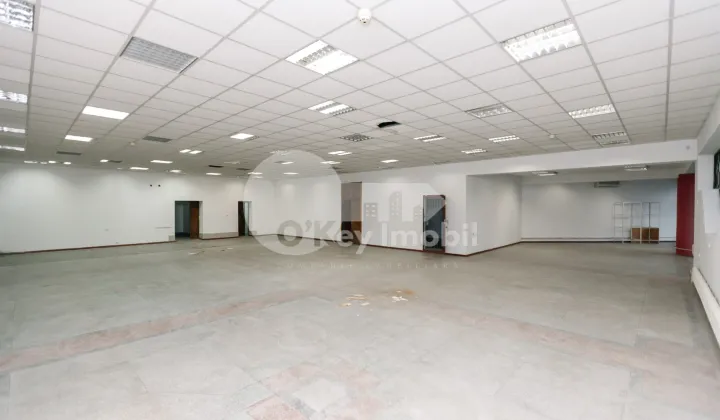 Комм. помещение, Ботаника, НИКОЛАЕ ТИТУЛЕСКУ