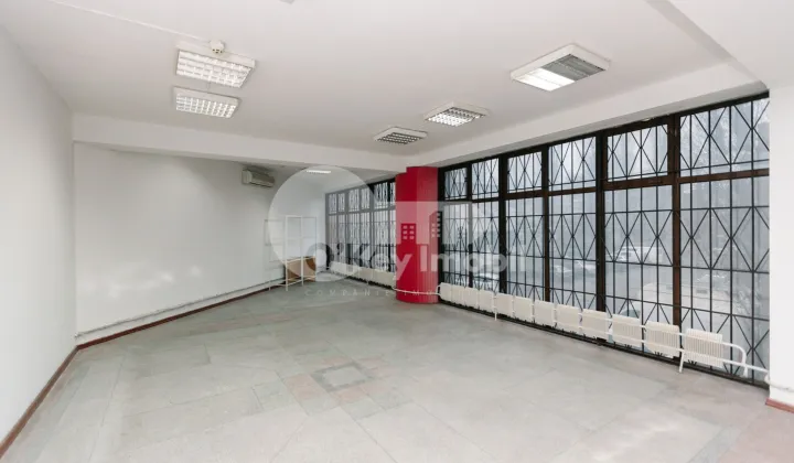 Комм. помещение, Ботаника, НИКОЛАЕ ТИТУЛЕСКУ