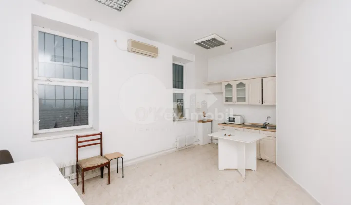 Комм. помещение, Ботаника, НИКОЛАЕ ТИТУЛЕСКУ