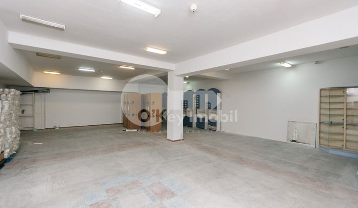 Spațiu comercial, Botanica, NICOLAE TITULESCU