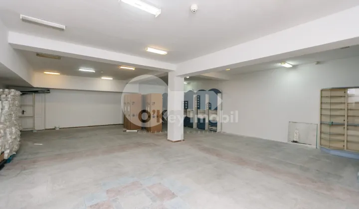 Комм. помещение, Ботаника, НИКОЛАЕ ТИТУЛЕСКУ