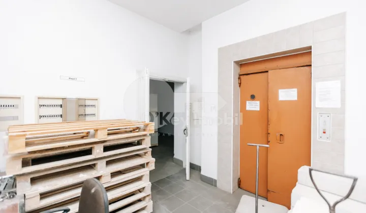 Комм. помещение, Ботаника, НИКОЛАЕ ТИТУЛЕСКУ