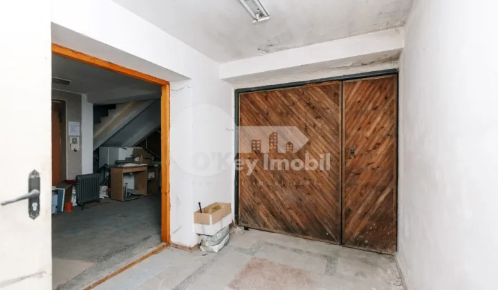 Комм. помещение, Ботаника, НИКОЛАЕ ТИТУЛЕСКУ