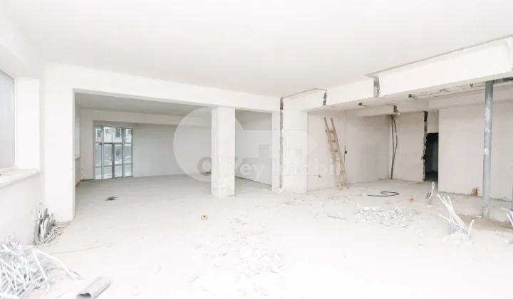 Комм. помещение, Центр, АНЕСТИАДЕ