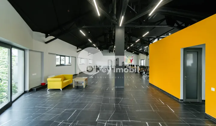 Spațiu comercial, Centru, NICOLAE TESTEMIȚANU