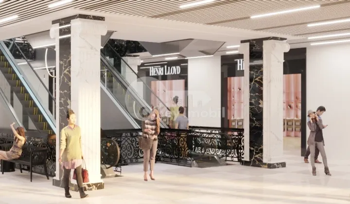 Комм. помещение, Рышкановка, ГРИГОРЕ ВИЕРУ