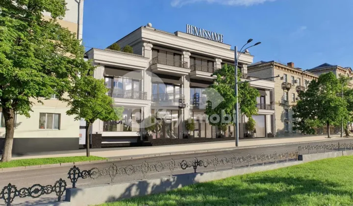 Комм. помещение, Рышкановка, ГРИГОРЕ ВИЕРУ