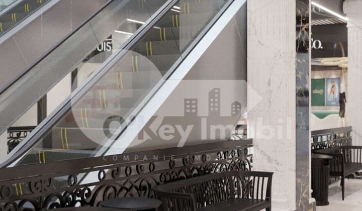 Комм. помещение, Рышкановка, ГРИГОРЕ ВИЕРУ