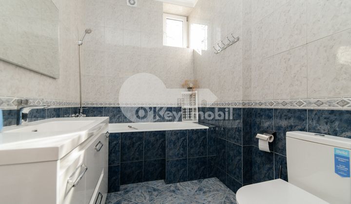 Дом, Ботаника, ЧЕТАТЯ АЛБЭ