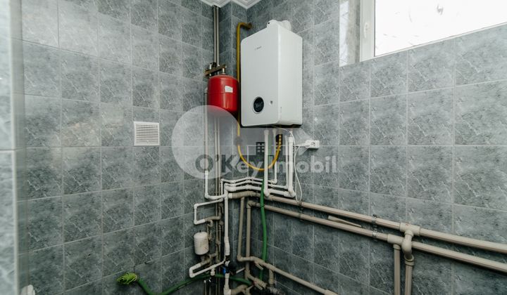 Дом, Ботаника, ЧЕТАТЯ АЛБЭ