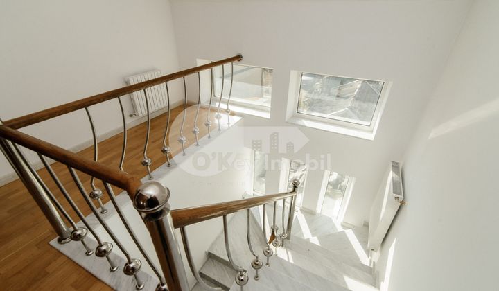 Дом, Ботаника, ЧЕТАТЯ АЛБЭ