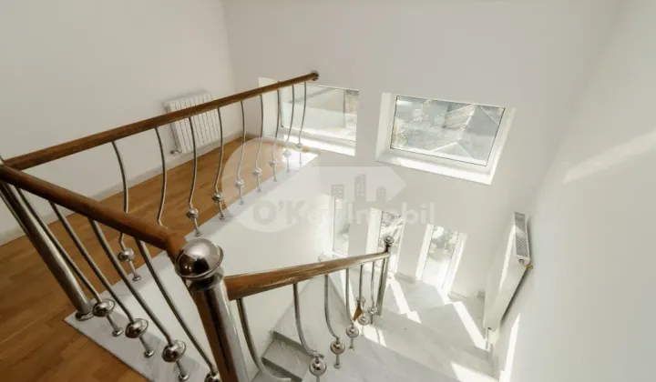 Дом, Ботаника, ЧЕТАТЯ АЛБЭ