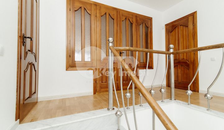 Дом, Ботаника, ЧЕТАТЯ АЛБЭ