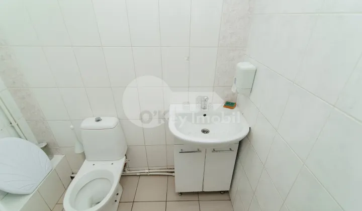 Spațiu comercial, Botanica, DACIA