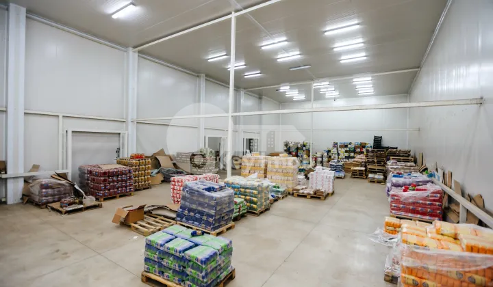 Склад, Чеканы, ВОЛУНТАРИЛОР