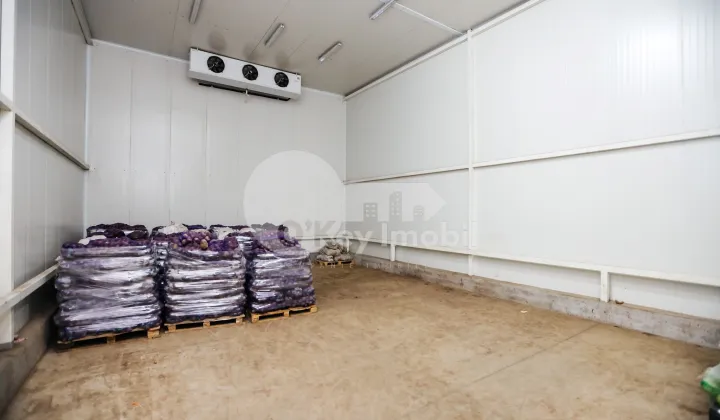 Склад, Чеканы, ВОЛУНТАРИЛОР