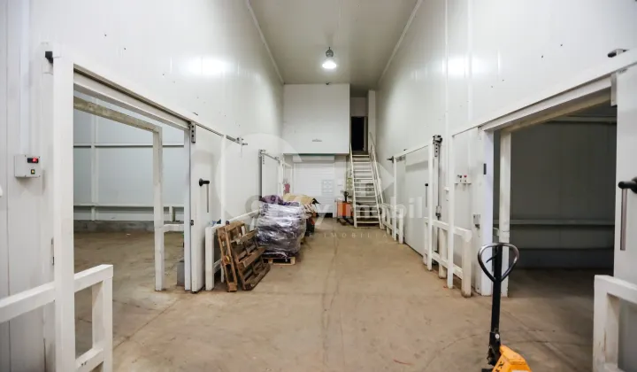 Склад, Чеканы, ВОЛУНТАРИЛОР