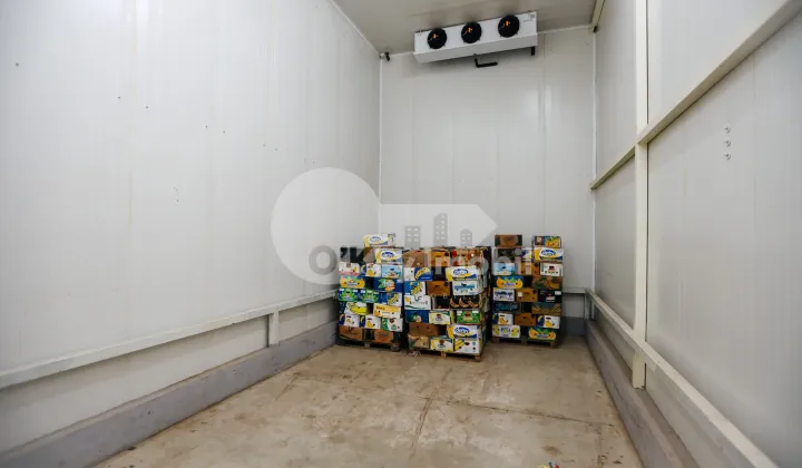 Склад, Чеканы, ВОЛУНТАРИЛОР