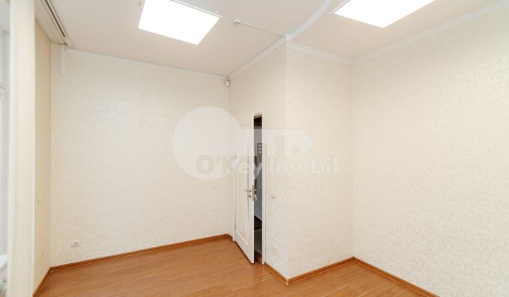 Oficiu, Centru, ALEXEI MATEEVICI