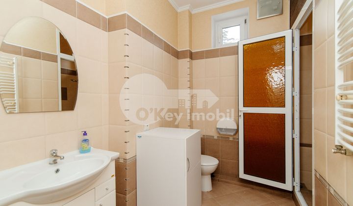 Oficiu, Centru, ALEXEI MATEEVICI