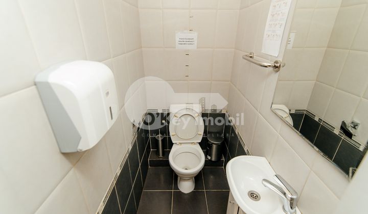 Oficiu, Centru, ALEXEI MATEEVICI