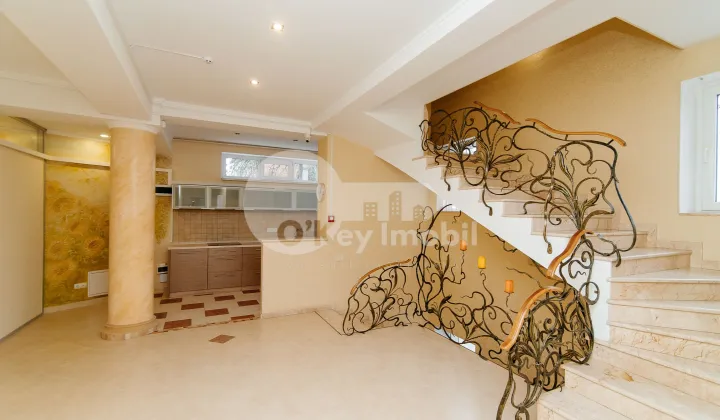 Oficiu, Centru, ALEXEI MATEEVICI