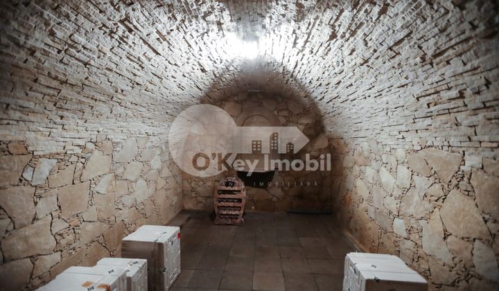 Дом, Центр, МАЛАЯ МАЛИНА