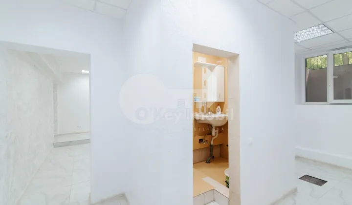 Комм. помещение, Ботаника, НИКОЛАЙ ЗЕЛИНСКОГО