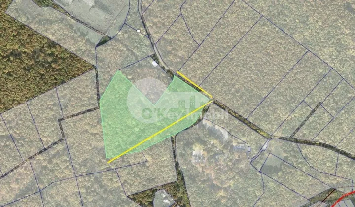 Земельный участок, ЯЛОВЕНЫ