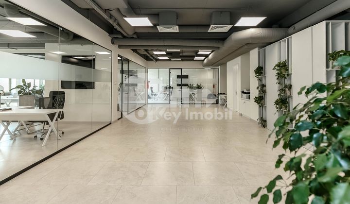 Oficiu, Centru, PETRU MOVILĂ